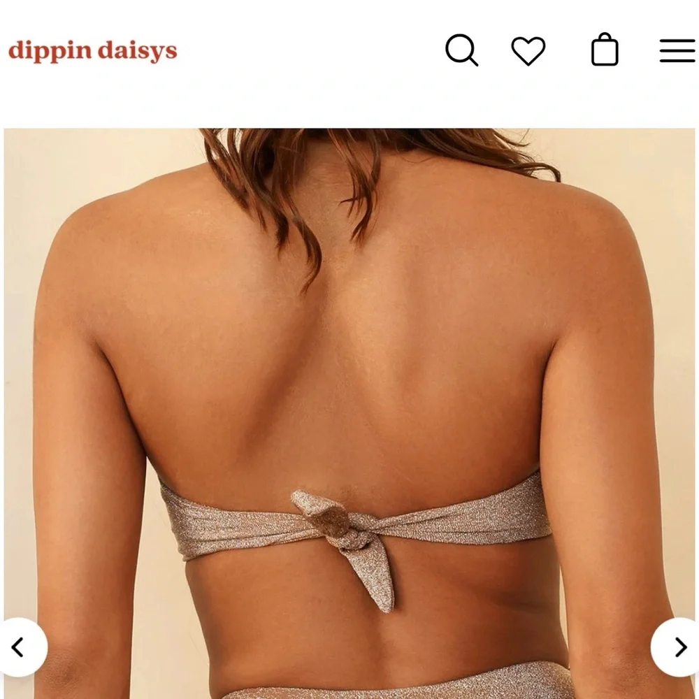 Dippin' Daisy's Shimmering Cocoa Bikini Set - Picture 4 of 4